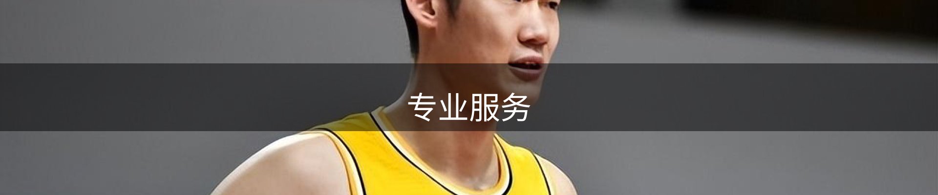 专业服务